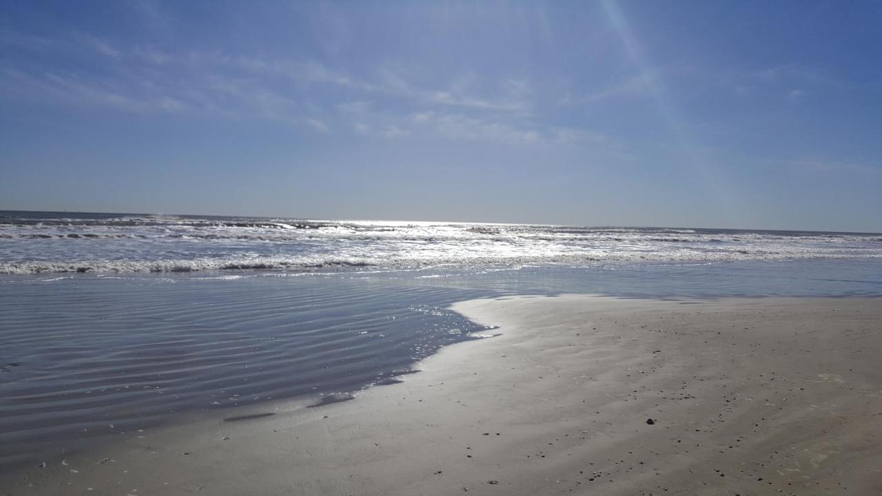Private Beach -- Away From The Crowds - Ocean Views -Short Drive To Moody Gardens, Schlitter Bahn, Pleasure Pier Galveston Kültér fotó